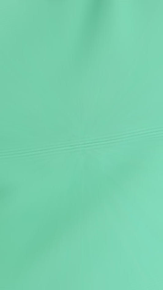 Security Alarm Lock (Anti-Theft, Motion Sensor, 110dB Siren)