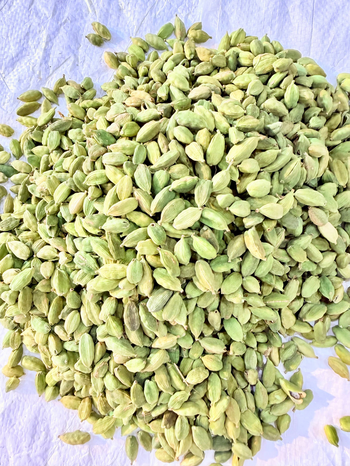 Daily Veda Ilaichi (Cardamom)