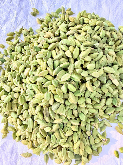 Daily Veda Ilaichi (Cardamom)