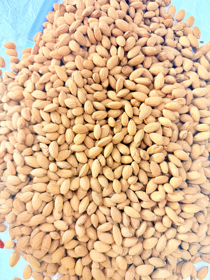 Daily Veda Badam Giri (Kashmir ki Kali)