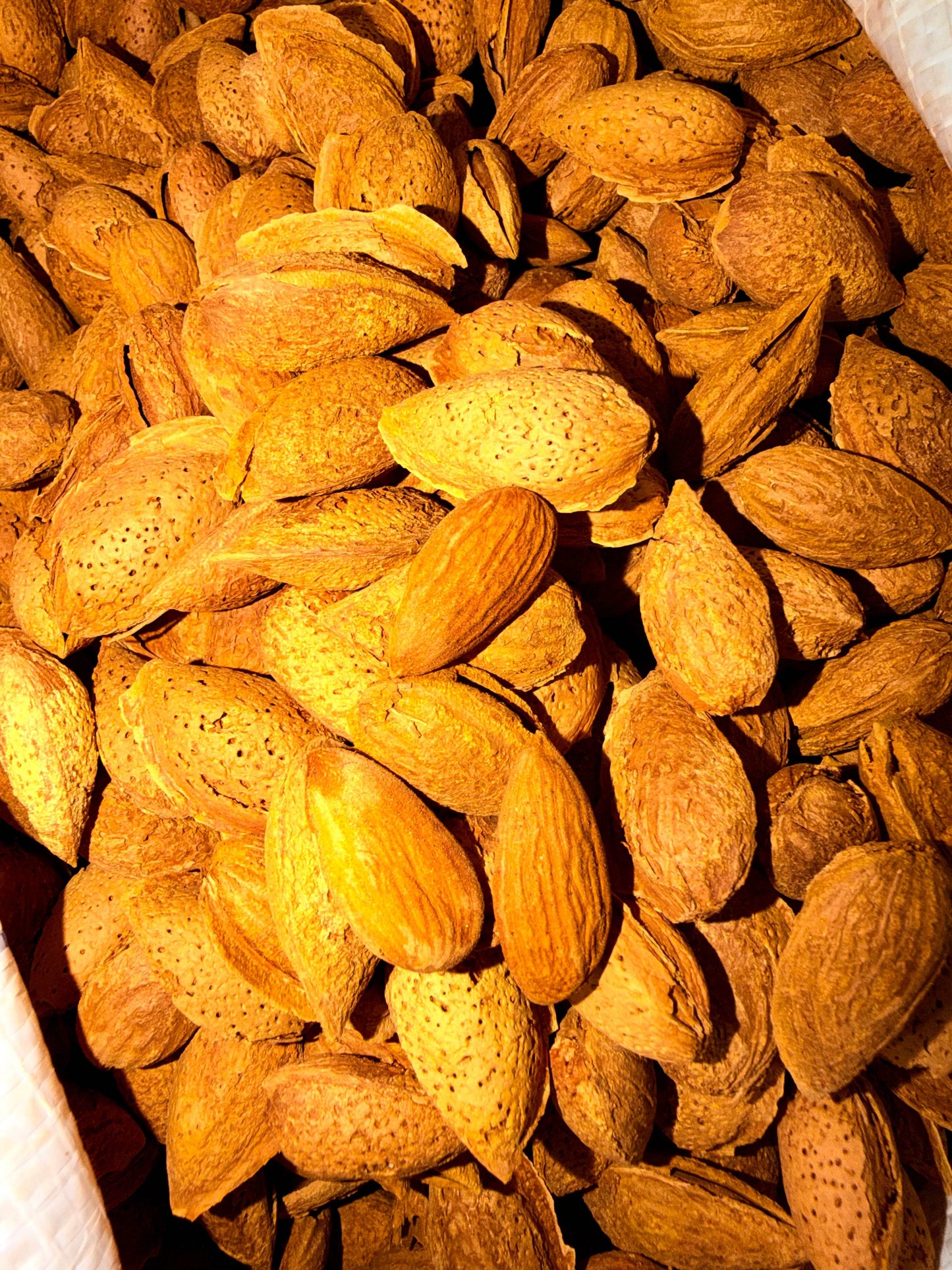 Daily Veda Badam Kesari Mamra - ZEDIF