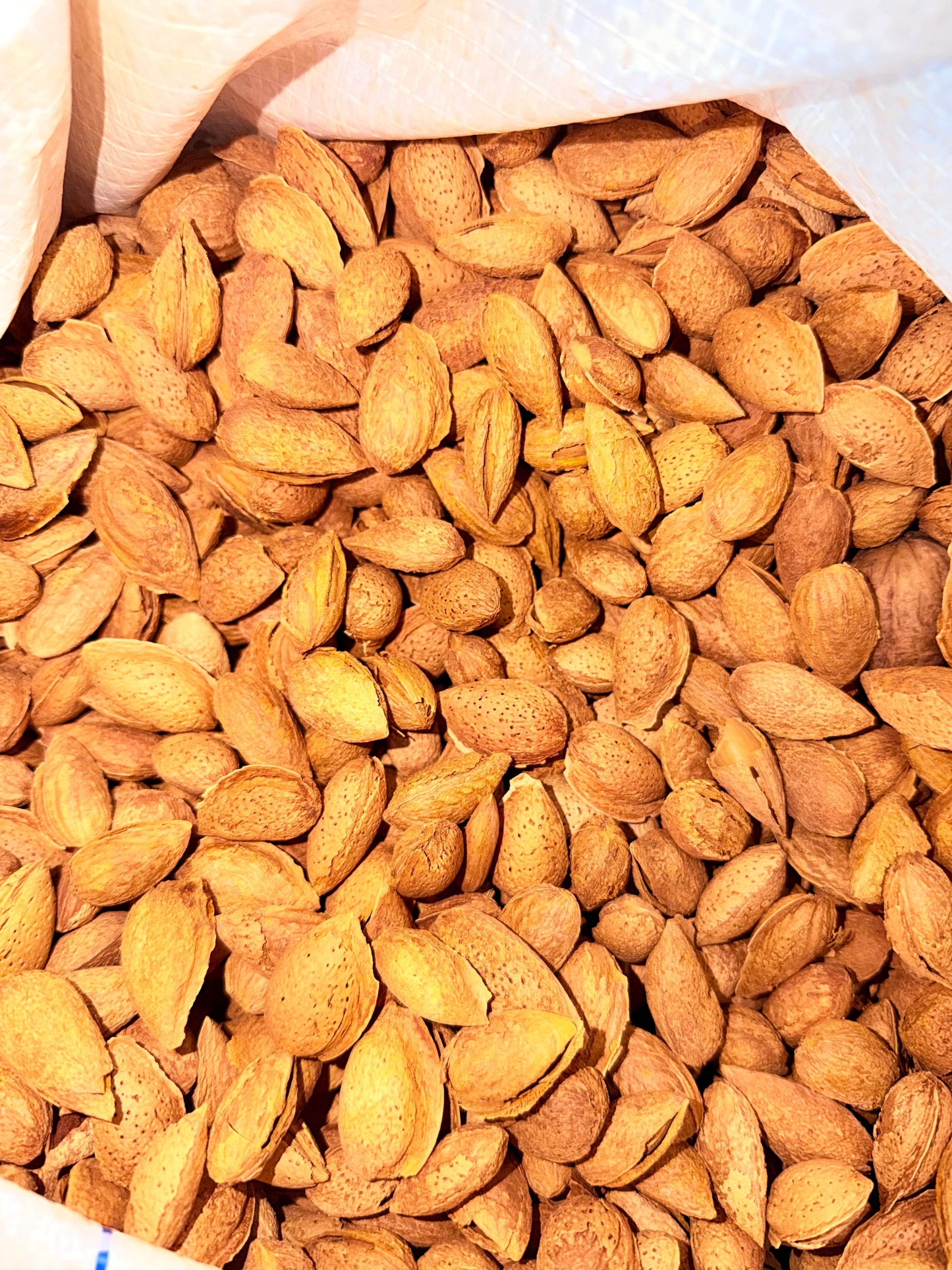 Daily Veda Badam Kesari Mamra - ZEDIF