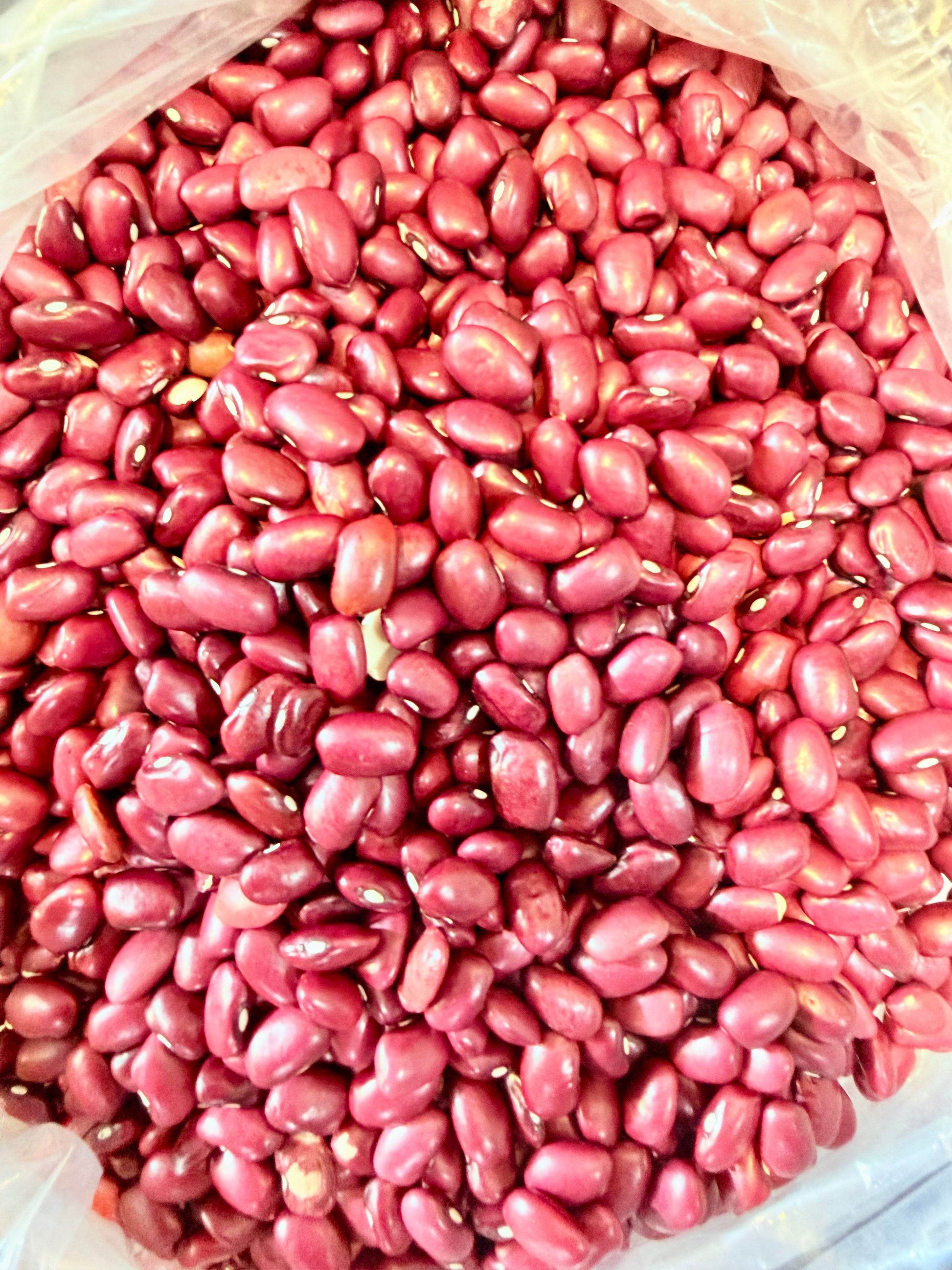 Daily Veda Jammu Rajma - ZEDIF